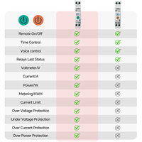 1P+N 63A 110V 220V Ewelink Wifi Smart Switch Pengukur Energi Meter Kwh Pemutus Sirkuit Timer Relay untuk Rumah Pintar