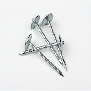 1 pollice 2 pollici 3 pollici colore piastrelle in acciaio a coda di rondine chiodo per piastrelle in amianto chiodi per tetti zincati in acciaio ondulato - Product Image 6