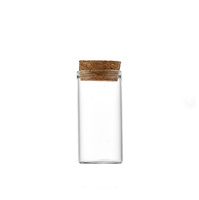 Bouteilles en verre avec bouchons en bois, flacons en verre de différentes tailles, bouteilles à vœux, pots en verre avec couvercles en liège pour le stockage alimentaire en cuisine