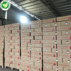 ส้มโอหวานออร์แกนิคสด รสชาติเข้มข้น ขนาด 100 ซม. น้ำหนัก 10 กก. ผลไม้ส้มเอเชียเพื่อสุขภาพ - Product Image 5