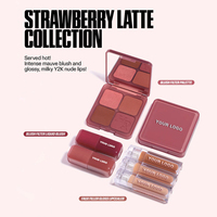 Palette de fards à joues rose vegan imperméable de haute qualité avec logo personnalisé, multicolore, effet flou, marque privée