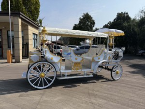 2025 chariot électrique de luxe décoration de mariage électrique royale dans le transport spécial chariot à chevaux de haute qualité à vendre - Product Image 4