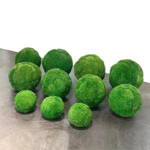 Gran oferta, Bola de techo de musgo <span class=keywords><strong>Marimo</strong></span> verde preservada Natural para decoración interior para el Día de la madre, graduación, Día de San Valentín, Navidad - Product Image 1