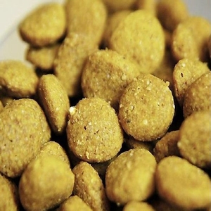 Bán nhanh chóng và dễ dàng ướt kibble Pet Dog Cat Thức ăn viên làm cho sản xuất đùn dây chuyền chế biến - Product Image 3