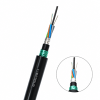 Câble à fibres optiques blindé anti-rongeurs GYTA53 24 48 72 cœurs G652D pour pose directe en extérieur