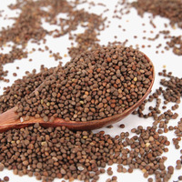Graines de Perilla Frutescens Pures, Séchées, pour Tisane, Riches en Nutriments, Botanique, Paquet de 1kg