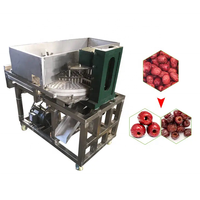 Automatische olijf pitting machine/fruit datum pit verwijderen machine/meidoorn pitting machine