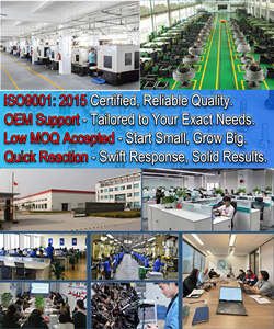 สกรูตาไก่ สแตนเลส 304 <span class=keywords><strong>ขนาด</strong></span> M5-<span class=keywords><strong>M20</strong></span> แบบ OEM ข้อต่อหมุน  ผิวเรียบ - Product Image 5