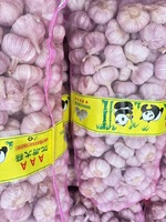 Verse pure witte knoflook groenten groothandelsprijs Optimum merk gaas zakken Top kwaliteit nieuwste oogst geëxporteerd Shandong China