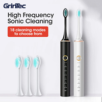 Brosse à dents électrique sonique portable à poils souples IPX7 pour adultes avec minuteur intelligent pour le nettoyage et le blanchiment des dents