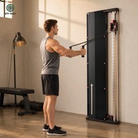 Appareil de musculation fonctionnel mural pour la maison, machine à câbles compacte pour salle de sport à domicile, pile de poids de 30 kg, plus de 100 exercices, noir piano