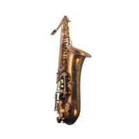 SEASOUND OEM High Quality Tenor Saxophone JYTS113CFMT BB Tone Coffee Matt Finish with Waterproof Case Wind Instrument