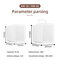 Mini Refrigerador Portátil de 4L con Espejo, Enfriador y Calentador, Refrigerador Compacto para Cosméticos y Cuidado de la Piel con LED, Refrigerador de Belleza para Auto para Almacenamiento de Maquillaje