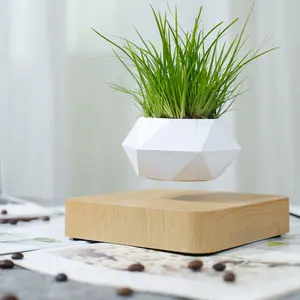 HCNT Magnetic Floating Plant Pot Levitating Bonsai Home Plants Stand Artificial Flowers Home Decor Garden Supplier