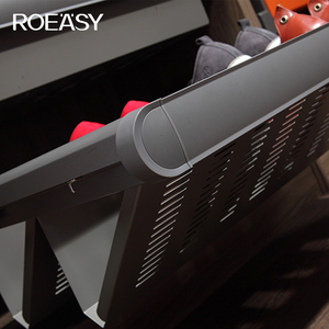 ROEASY Modern <strong>Design</strong> 2 Tier Pull Out Sliding Wardrobe Accessories Shoe Rack for <strong>Closet</strong> - Product Image 5