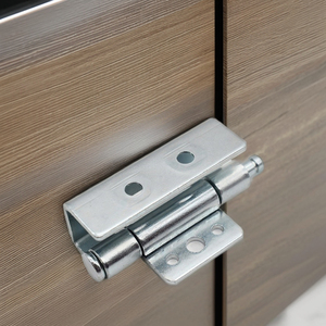 Cl237 giấu bản lề công nghiệp tủ thép không gỉ 304 Kẽm hợp kim nhựa đánh bóng kết thúc với loại vòng - Product Image 2