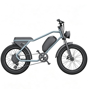 Vélo électrique tout-terrain M2 500W 48V 15Ah à 7 vitesses, cadre en acier, pneus larges, freins à tambour rétro, moteur moyeu arrière, 20 pouces, 45 km/h - Product Image 1