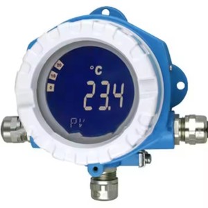 Sensor de Temperatura de Resistencia Térmica Premium Endress+Hauser TMT82-BAA2CB1A1AAA1+E1F1LA - Product Image 4