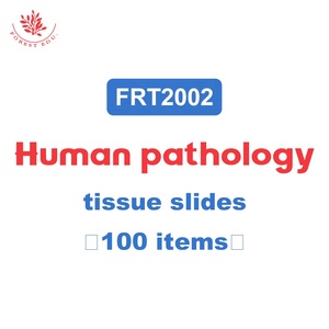 Patologia umana preparati vetrini di 100 tipi sezioni FRT2002 ha maculato microscopio Set attrezzatura didattica microscopio - Product Image 2