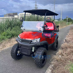 Carrito de golf eléctrico de lujo personalizado al por mayor, estilo Drive Style, para turismo, con batería de litio, transporte especial - Product Image 2