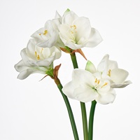 Bunga Amaryllis PU Mewah 2 Kepala, Sentuhan Asli, Hippeastrum Lateks Buatan Berkualitas Tinggi dengan Dua Kepala untuk Dekorasi Pesta Pernikahan