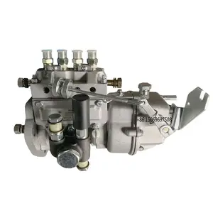 4105 POMPE D'INJECTION DE CARBURANT ZH4105 pompe diesel pour la réparation de moteur WEIFANG RICARDO