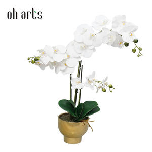 Venta al por mayor Oh Arts 70cm Flor de imitación Orquídea artificial Orquídea de seda blanca Planta Phalaenopsis Flores para la decoración del hogar - Product Image 1