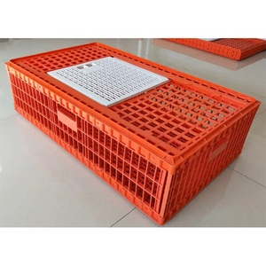 Caisse de transport pour poulets en plastique HDPE / Boîtes de transport pour volailles / Transporteur de volailles à vendre - Product Image 2