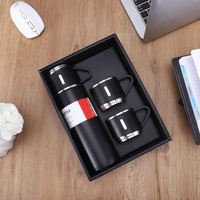 Ensemble Cadeau Bouteilles Isothermes 500 ml "Hot Sale" – Tasses et Bouteilles sous Vide en Acier Inoxydable
