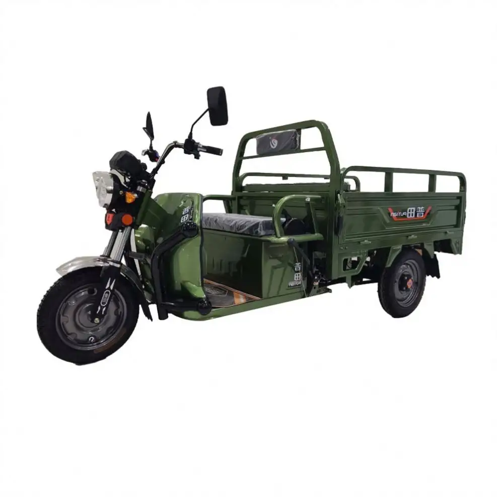 New Product E Moped Cargo Electric Tricycle Taxi Use Manufacturer Triciclo