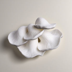 Modelo de Hongo Ostra Artificial Realista para Exhibición en Museos, Accesorios Educativos de Comida Falsa - Product Image 1