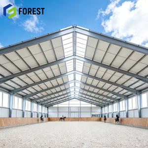 Arena Ecuestre de Acero de Gran Envergadura, Personalizada, Económica y de Estructura Transparente, con Construcción Robusta y Duradera - Product Image 1