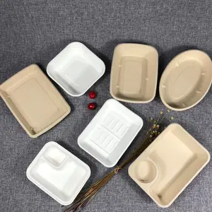 Có Thể Phân Hủy Sinh Học Compostable Lớn Rect Nước Dầu Bằng Chứng Thịt Chipy Bánh Mía Đường Mía Bã Mía Giấy Bột Giấy Khay Thực Phẩm