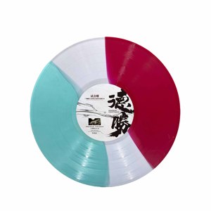 Двухцветные накладки на рукава, куртки, цветные виниловые пластины - Product Image 2