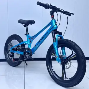 बच्चों के लिए 2024 नई सस्ती 18/20/22 इंच साइकिल / लड़कों के लिए मैग्नीशियम मिश्र धातु बच्चों की बाइक साइकिल / बच्चों के लिए माउंटेन बाइक
