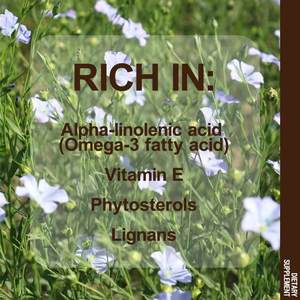 ओम ठंडा दबाया हुआ फ्लेक्सीसीड तेल नरम कैप्सूल निजी लेबल लिनोलेनिक एसिड सॉफ्टजेल विटामिन वयस्क 2-4 ग्राम पूरक का उपयोग करते हैं - Product Image 4