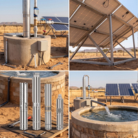 Pompe à eau solaire de 2 pouces avec panneau, pompe submersible pour puits profond, pompe pour puits de 64 m de profondeur
