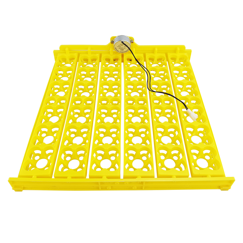 High Quality Commercial Chicken Egg Tray