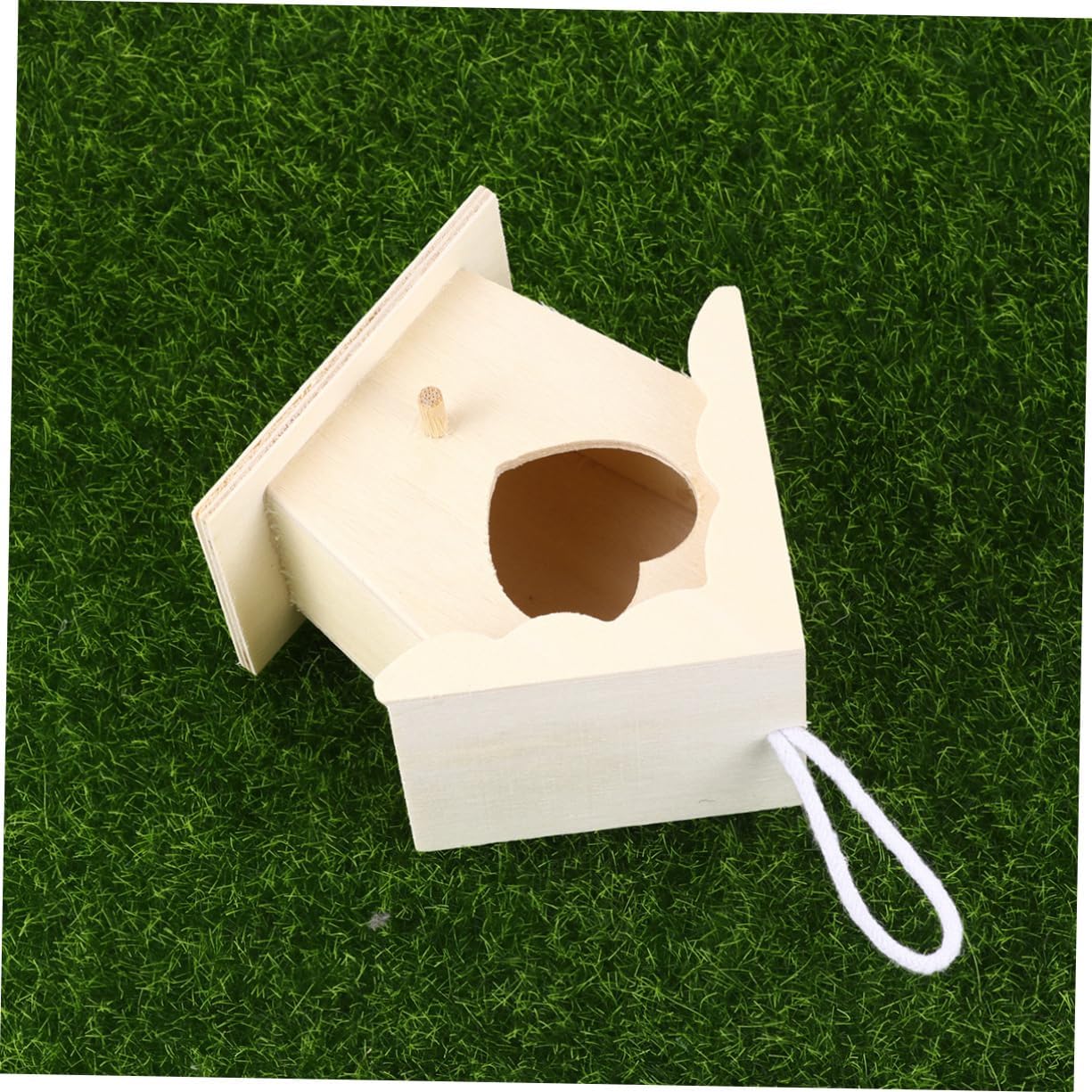 How to Choose the Best Estrailian Parrot Nest with Parrot Cage Setup