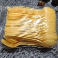 Cuillère à riz en plastique de qualité alimentaire, résistante aux hautes températures, cuillères à soupe jetables