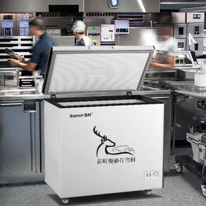 XUECUN/SNOW VILLAGE BD-358直接冷却ディープフリーザーチェストフリーザー冷蔵庫家庭用ホテルショップ用冷蔵庫 - Product Image 5