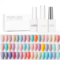 48 couleurs de vernis à ongles en Gel Pastel à haute teneur en Pigment, définissez votre Logo avec un nuancier