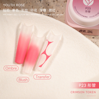 Gel de peinture pour ongles à texture épaisse et haute pigmentation, effet dégradé, neuf compartiments, vente en gros d'usine Youth Rose Nail Supplies