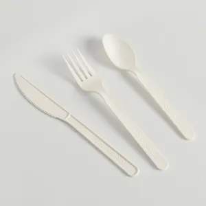 Forchetta e cucchiaio per insalata usa e getta personalizzati in plastica per cucchiaio e forchetta per Catering
