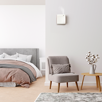 Diffuseur d'arômes personnalisé avec logo, purificateur d'air, rechargeable par USB, pour bureau, petit, mural, sans eau, OEM
