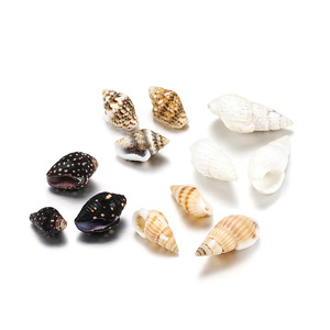 Natural Mini Seashell Craft Decorations White <b>Shell</b> Diy Home Decoration Eco Friendly Raw Material Yiwu Origin - Product Image 1