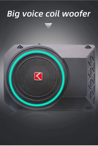 Subwoofer de voiture ultra-plat 12V de 10 pouces, nouvelle conception, 800W, amplificateur de puissance élevé, pour installation sous le siège, vente en gros - Product Image 5