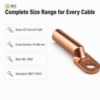 Cosses de câble en cuivre pur série DT 10-500 mm² M6-M20 pour la distribution d'énergie, les appareils de commutation et les connexions de transformateurs