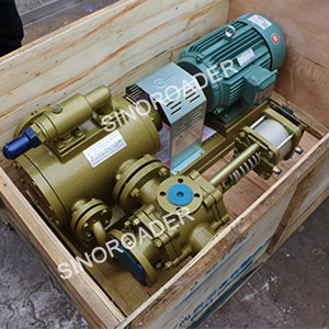 Bomba de <span class=keywords><strong>Asfalto</strong></span> para Planta Mezcladora de <span class=keywords><strong>Asfalto</strong></span> - Product Image 5
