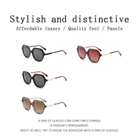 Gafas de Sol de Acetato Poligonales Redondeadas de Lujo, Marca China, Exportación, Gran Venta, para Mujer, Ideales para Fotografía Urbana, Compras y Viajes